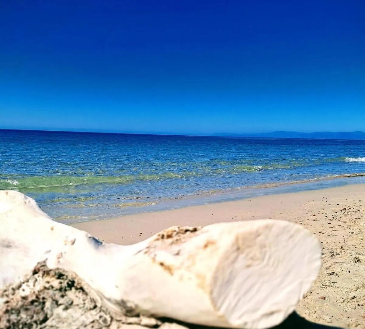 Tasinanta Casa Vacanze كابيتانا إيطاليا